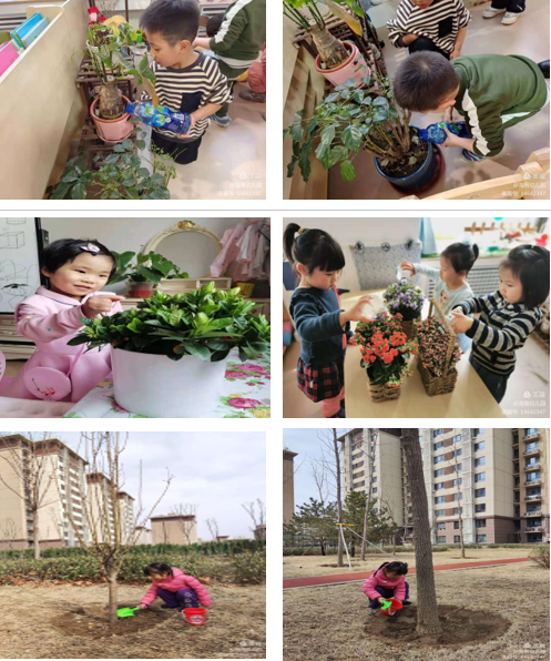 無标題.png
