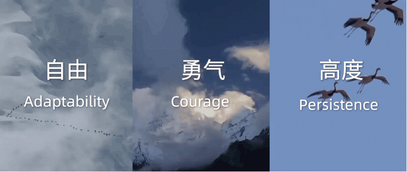 圖片 1.gif